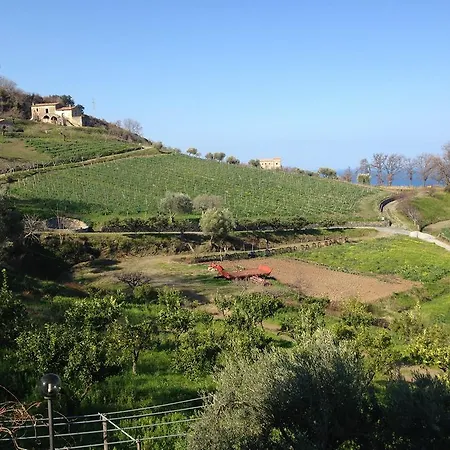 Agriturismo Fattoria Di Arieste Lantgård
