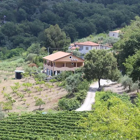 Lantgård Agriturismo Fattoria Di Arieste *