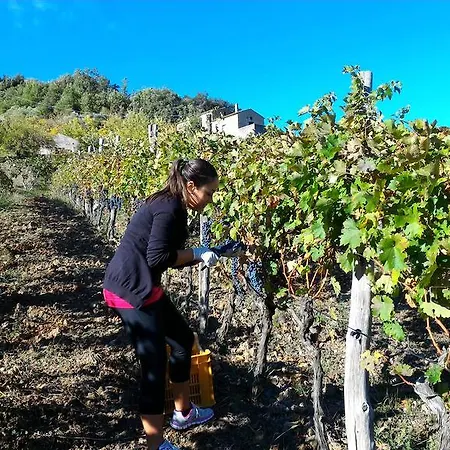 Lantgård Agriturismo Fattoria Di Arieste Maierà